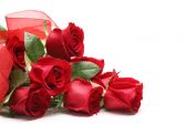 Rose rosse